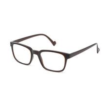 Load image into Gallery viewer, ART BlueRay Computer Reading Glasses with Case by Nannini of Italy; Brown - ReadingGlasses.CO/