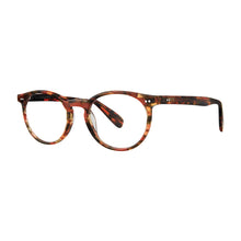 Load image into Gallery viewer, Gershwin Optical Reading Glasses with Case by Scojo; Amber Tortoise