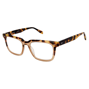 Highline Reading Glasses with Case by Scojo; Tokyo Tortoise Beige