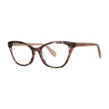 Load image into Gallery viewer, *Essex Reading Glasses with Case by Scojo®; Golden Tortoise