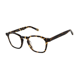 Elevated view of tortoise Christopher Street Reading Glasses Style 2636 from ReadingGlasses.CO 