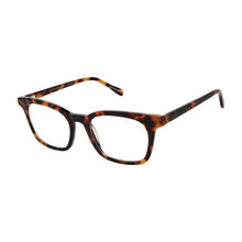 Load image into Gallery viewer, *Battery Park Optical Reading Glasses with Case by Scojo New York®; Tortoise